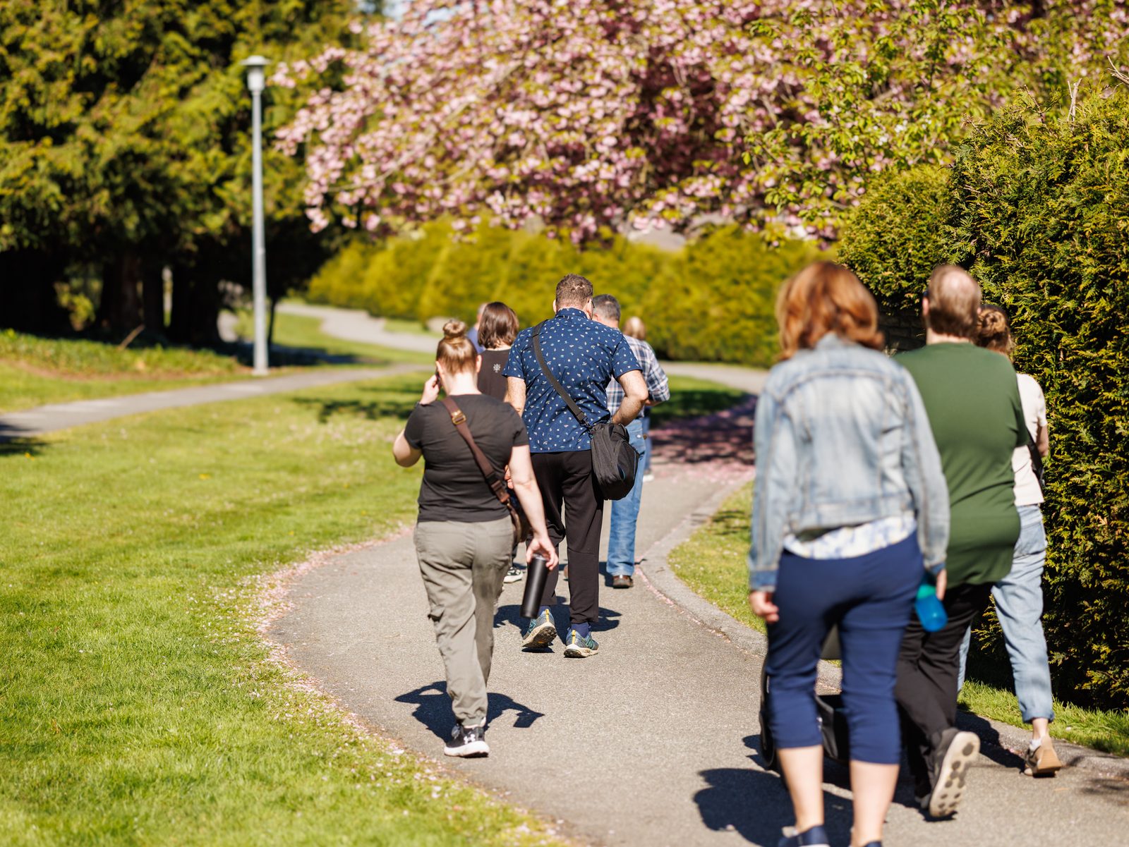Neighbours walking a path under spring blossoms